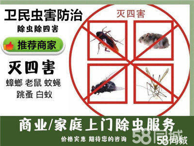 上门除蟑螂灭老鼠臭虫除虫除蚁提供灭跳蚤、灭蚂蚁、除蟑螂服务
